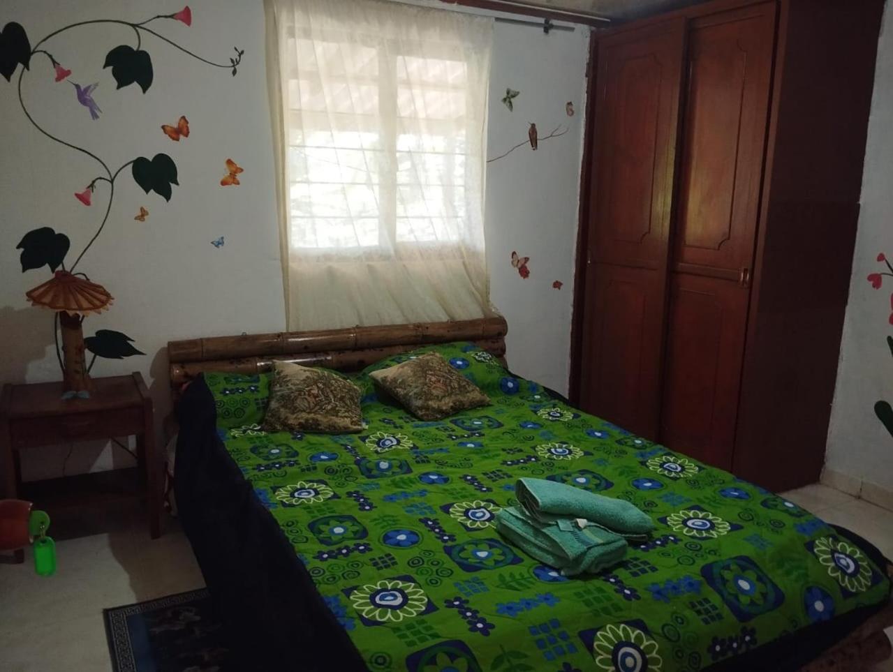 Hostal Sueno Paraiso- Observatorio Astronomico 波帕扬 外观 照片