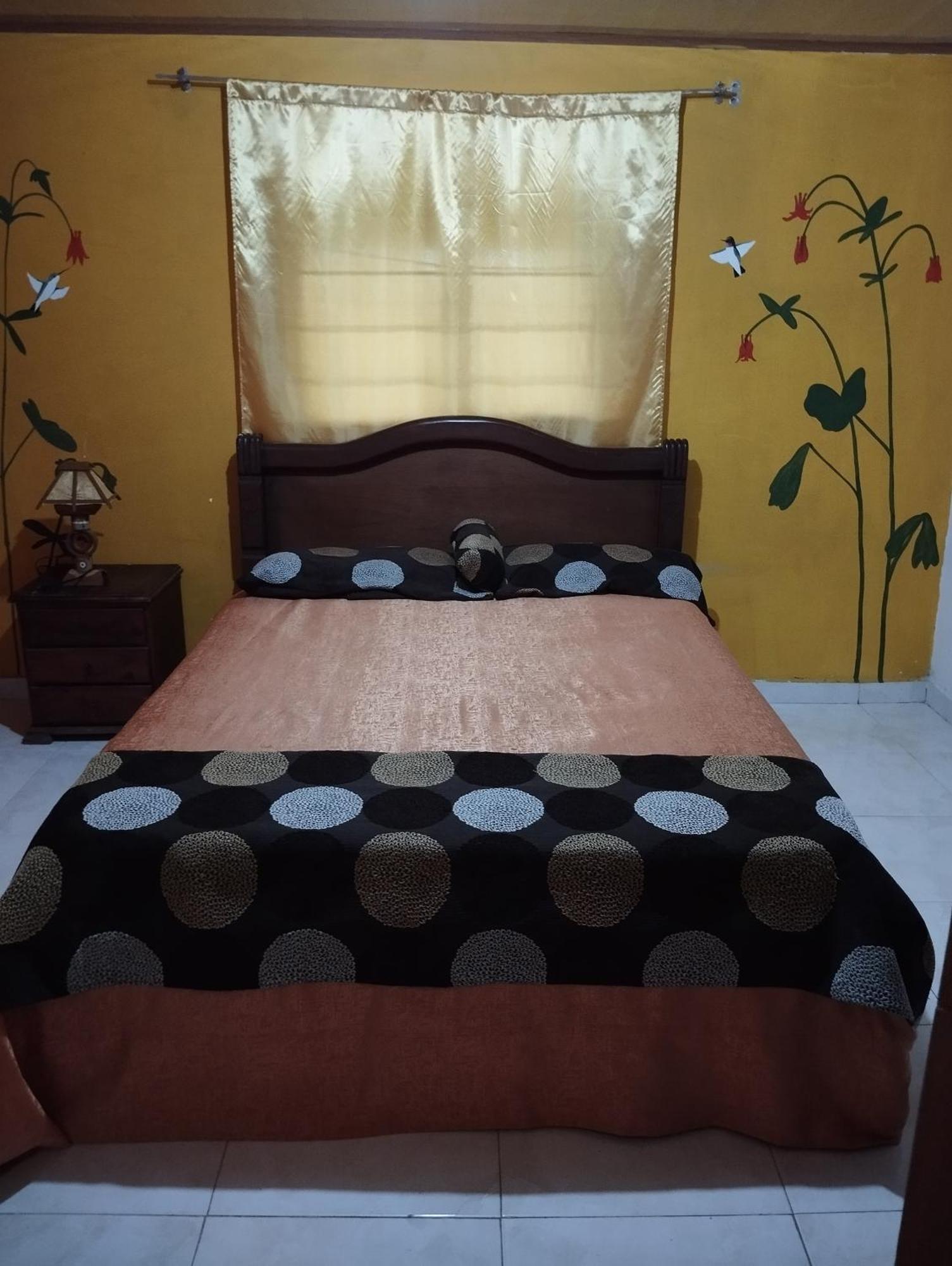 Hostal Sueno Paraiso- Observatorio Astronomico 波帕扬 外观 照片